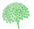 Didiscus
