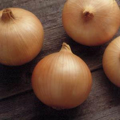 Onion Candy