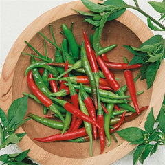 Pepper Hot Chili de Arbol
