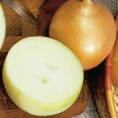 Onion Yellow Sweet Spanish