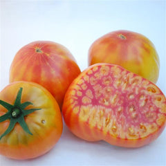 Tomato Mr. Stripey