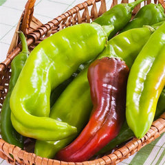 Pepper Big Jim