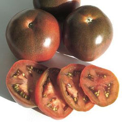 Tomato Black Prince