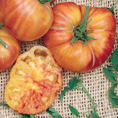 Tomato Pineapple