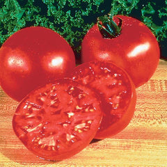 Tomato Burpee Big Boy