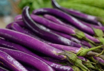 Eggplant Ping Tung Long