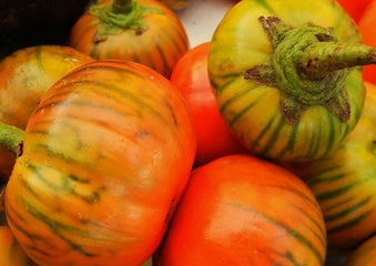 Eggplant Turkish Orange