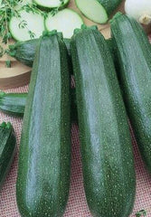 Squash Zucchini Emperors Jade