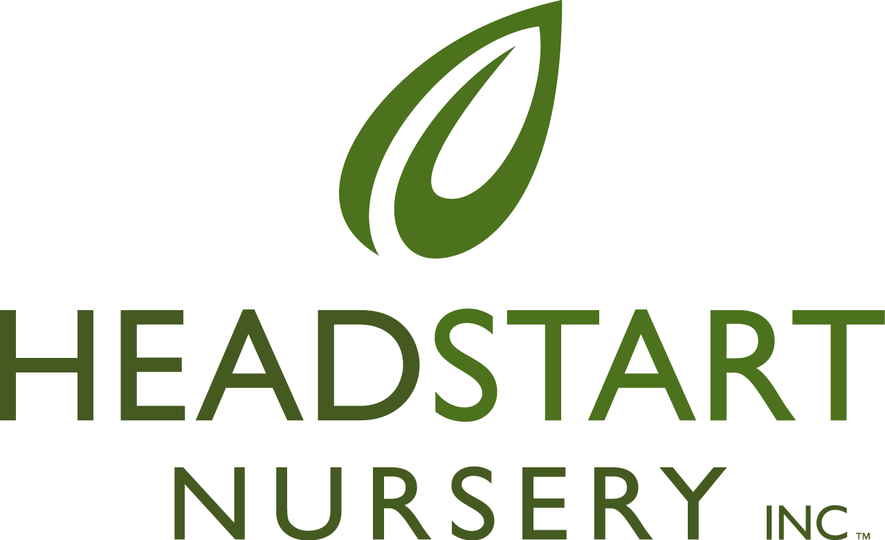 Headstart Nursery