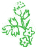 Heuchera