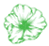 Hollyhock