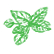 Hypoestes