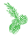 Iresine