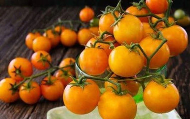 Tomato Isis Candy