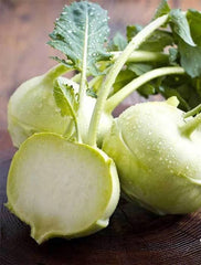 Kohlrabi White Vienna