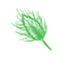 Lagurus
