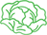 Lettuce