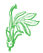 Lobelia