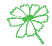Melampodium