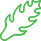 Mizuna
