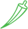 Okra