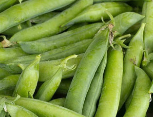 Pea Little Marvel