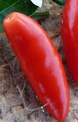 Pepper Pequin