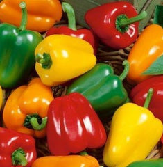 Pepper Mini Belle Mix
