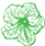 Petunia
