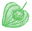 Physalis