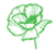 Poppy