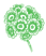 Primula