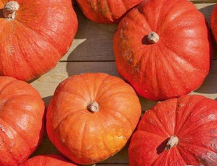 Pumpkin Cinderella's Carriage F1