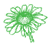 Rudbeckia