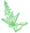 Salvia