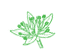 Sedum