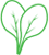 Spinach