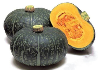 Squash Kabocha Delica