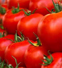 Tomato Husky Red