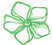 Vinca